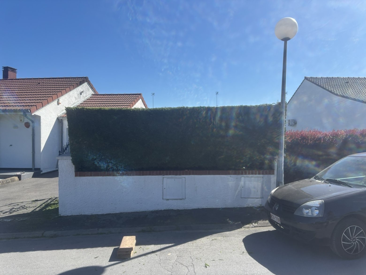 Après - Haie entretenue